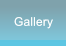 Gallery Gallery